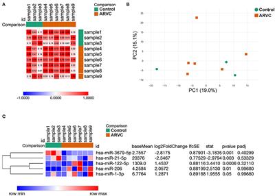 Different Expressions of Pericardial Fluid MicroRNAs in Patients With Arrhythmogenic Right Ventricular Cardiomyopathy and Ischemic Heart Disease Undergoing Ventricular Tachycardia Ablation